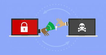 网络与信息安全软件开发 构筑数字世界的防护盾